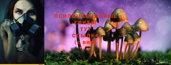 герыч Гусь-Хрустальный