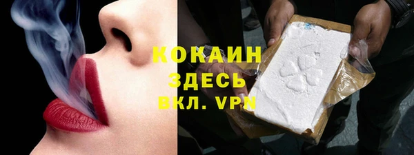 дмт Нея