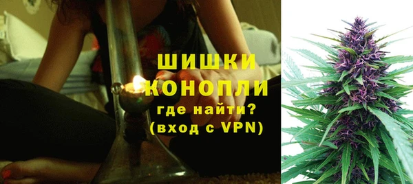 дмт Нея