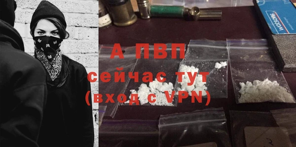 сатива Нефтекумск