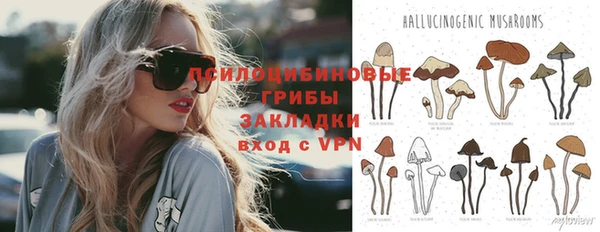 герыч Гусь-Хрустальный